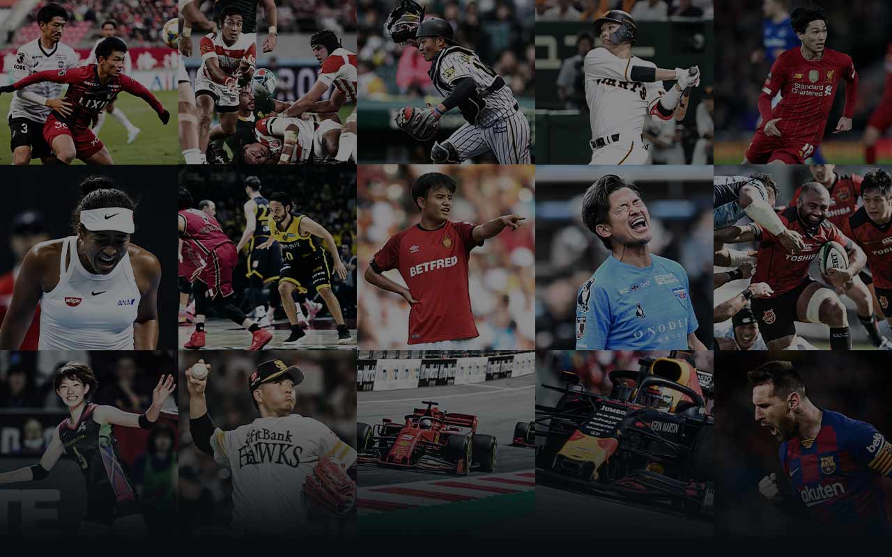 JP Grid showing sports played in multiple leagues